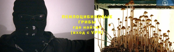 первитин Алексин