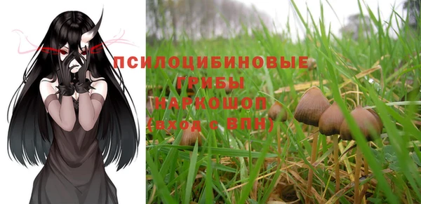 метамфетамин Алексеевка