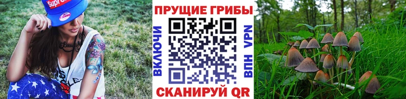 купить наркоту  Солнечногорск  Псилоцибиновые грибы MAGIC MUSHROOMS 